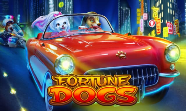 Fortune Dogs